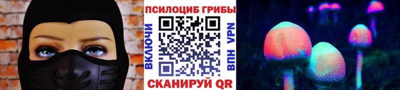 Псилоцибиновые грибы MAGIC MUSHROOMS  Заводоуковск 